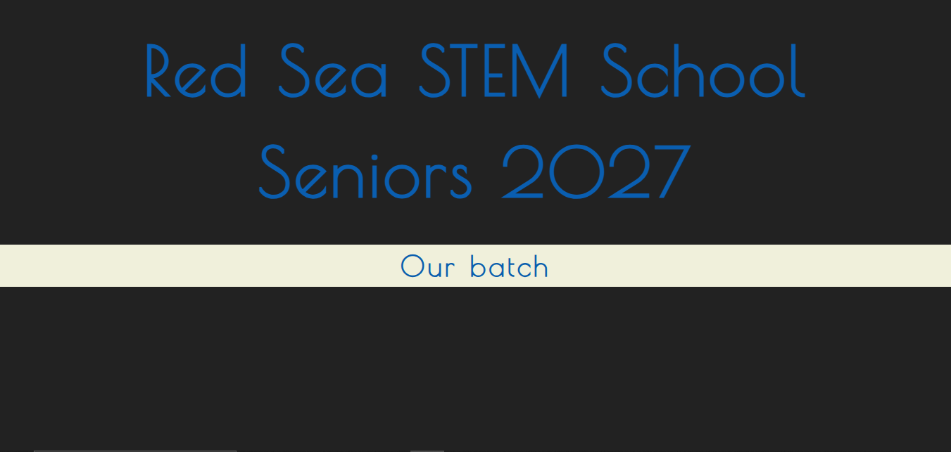 screenshot of project website